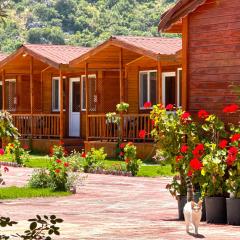 Venüs Gold Bungalov Adrasan