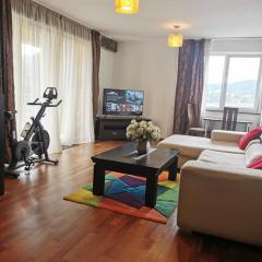 Central Mountain View Apartment