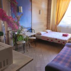 Студия на Французском бульваре 36