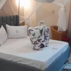 Mikumi wildlife lodge
