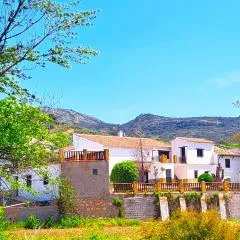 Suitur Cortijo de Don Lolo