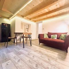 Luxury LOFT in Central Cluj