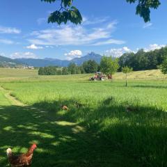 Ferienwohnung Mondsee-Irrsee