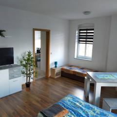 FLEX Aparts - große, möblierte Wohnung in Zwickau mit 2 Zimmern