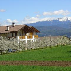 Agriturismo Girasole