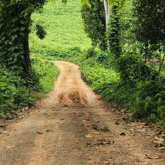 Vasudha Eco Homestay