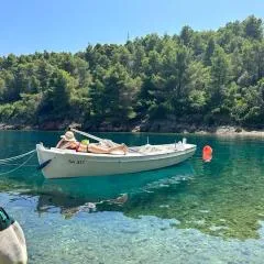Renovated stone villa on the island Rava, Zadar