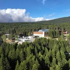 Swissotel Uludag Bursa