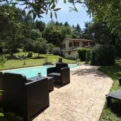 SCAPPO IN UMBRIA, La Casa nel bosco