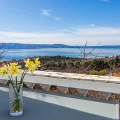 Apartment in Klenovica 45273