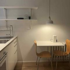 Cozy apartment, downtown Reykjavik