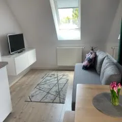 Niezapominajek