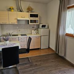 Studio Apartment in Nin with Terrace, Air Conditioning, Wi-Fi (3722-5)