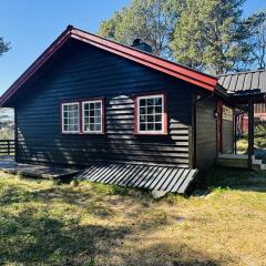 Cozy cabin in Geilo