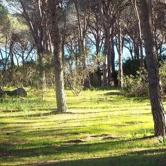 SPIAGGIA VICINA A Piedi