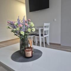 Kaunas City Apartment