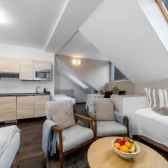 Anenský Apartmán C303 s wellness , O2 TV a stabilní rychlou WIFI, s možností dokoupení bufetových snídaní a s možností dokoupení masáží