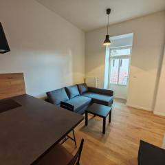 Modern 1BR in trendy Žižkov