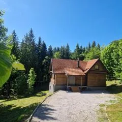 Starry Laz mountain house