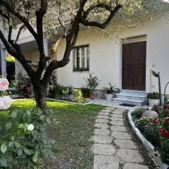 Maison TOnDO