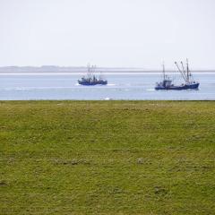 Ferienwohnung Deichbude 13 im Hochhaus