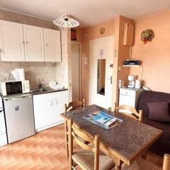 Charmant F2 avec Loggia et Parking à 800m des Cures - 4 couchages - Amélie-les-Bains - FR-1-703-140