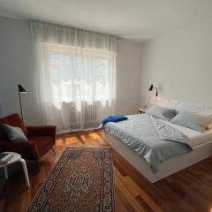 DueOlivi - Appartamento Blue