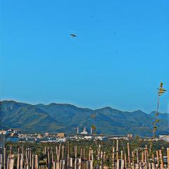 Penthouse in F-10 Islamabad