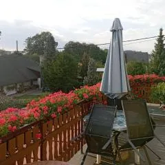 Apartment Pavel