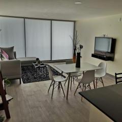 Serra Hospedajes Living Chapultepec 103