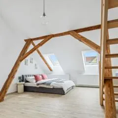 Spacious two-storey apartment with a terrace in the city center