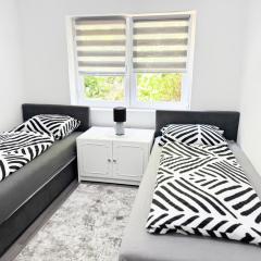 K&S Apartment Bistrik Stay
