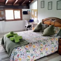 Roble Viejo Rural House