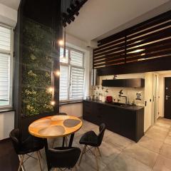 Vintage Bracka Loft Apartment