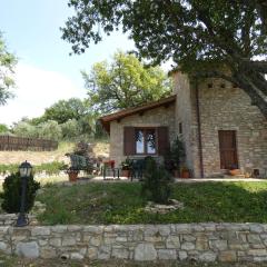 Scappo in Umbria, Le Salce