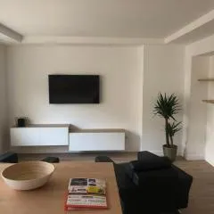 Appartement plein centre ville