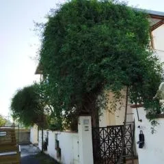 Villa Maria