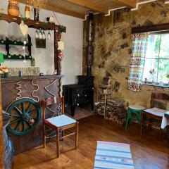 Cabana de la Prut , Iasi