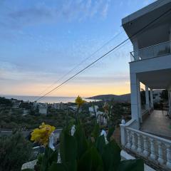 Vila Alexandros