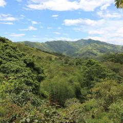 FINCA SAN JAVIER GREAT FARM WITH HORSES AND POOl