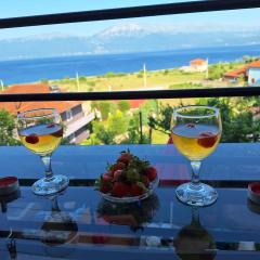 Taku Villa Wonderful view of Lake Ohrid