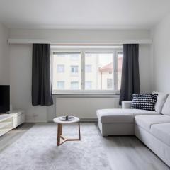 Vuokrakaista Premium Studio City Center 44m2 1-3person Free parking