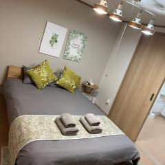 大正区三軒家東102