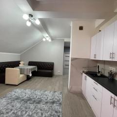 Квартира в частном доме