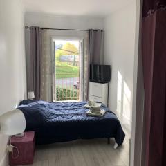 Studio 23 m2 Henri IV, centre-ville proche des thermes