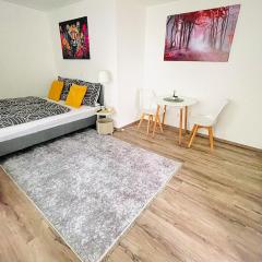Apartment in Zentrumsnähe NETFLIX SELF CHECK-IN