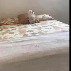 Apartamento aconchegante