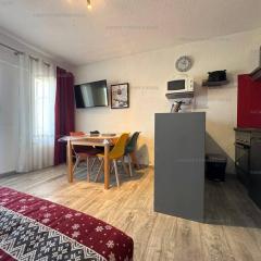 Studio cabine 4 pers au cœur de la station, terrasse Sud - FR-1-295-207