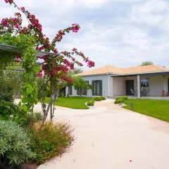 Aerinos private villa
