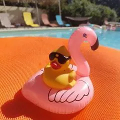 Ile des Plaisirs, Chambres d'Hôtes Naturistes avec Petit-Déjeuner Tropical Inclus